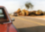 Who can scare the motorist first?
