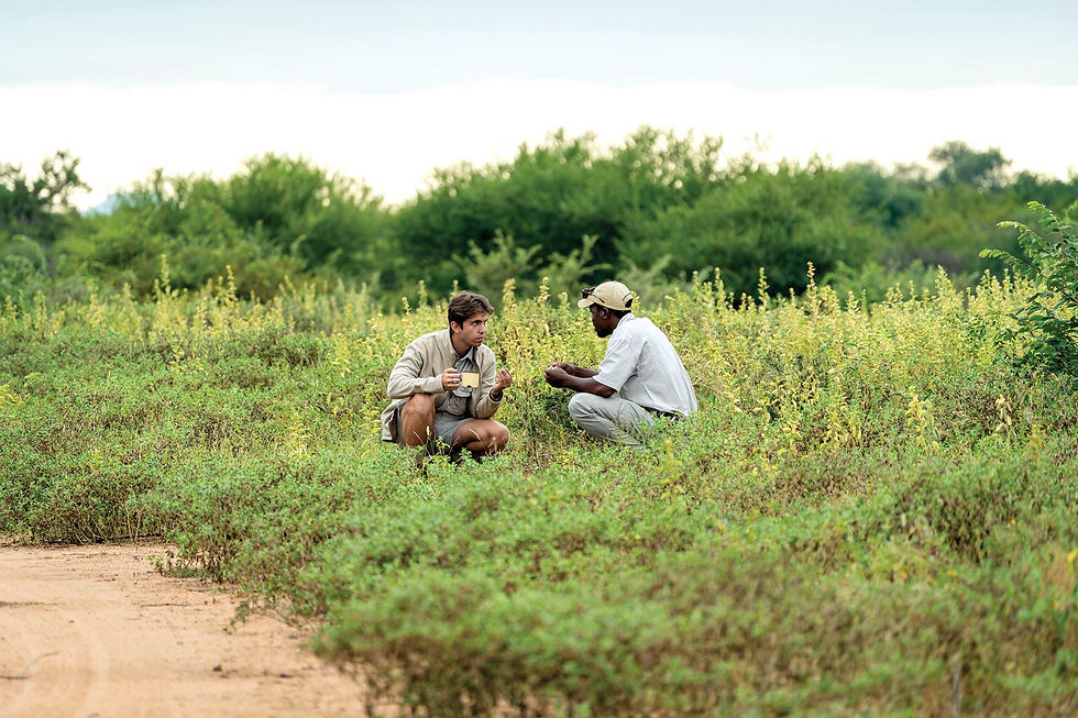 A Bushwise student and trainer cew on the stem of a Magic Guarri tree, turning it into a tooth brush (one of the plant’s many practical uses in the bush).