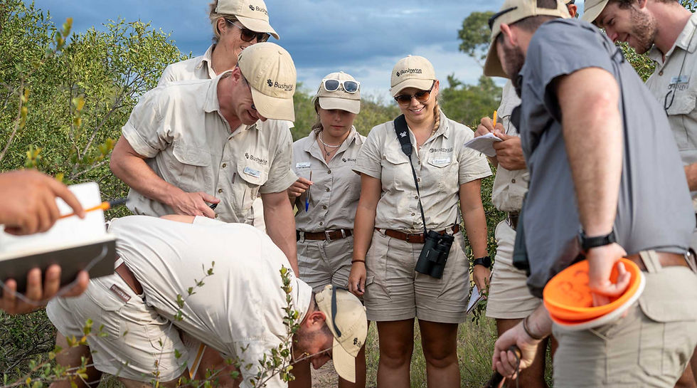Group of people in khaki uniforms study a spot in bushland. Some hold notebooks, one has binoculars. Bright sky in background, focused expressions.