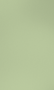 Light green.png