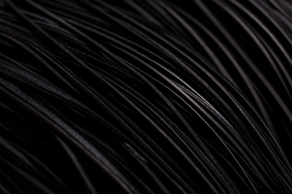 _OTO9893_preview.jpeg