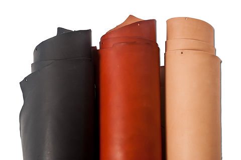 20_Holster_Strap.jpg