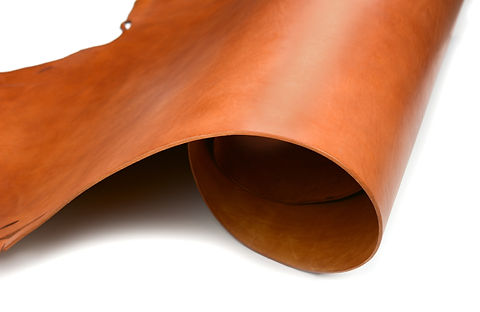 english tan bridle.jpg