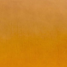 yellow latigo_edited.jpg