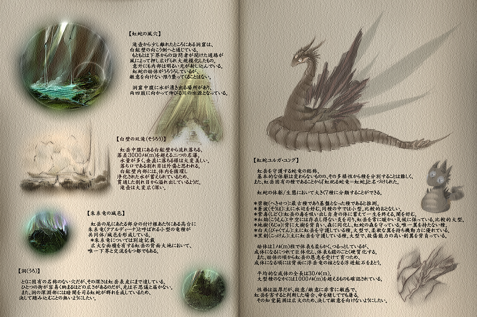 浮岳竜研究報告:虹岳項03