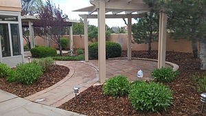 Maintenance | Gravel cleanup | Tree trimming | Tree removal | Yard cleanup | Xeriscaping