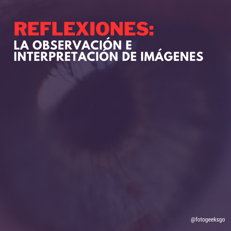 Reflexiones:  la observación e Interpretación de imágenes