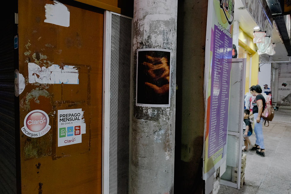 DSCF7059