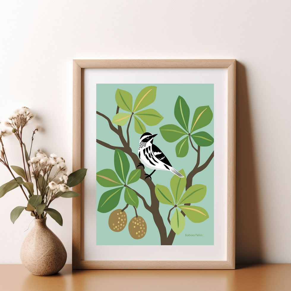 Black and White Warbler