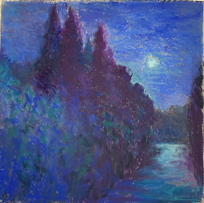 Cypress Nocturne