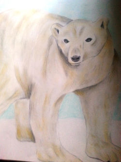 Polar bear