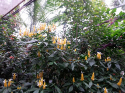 20140715_112157.jpg