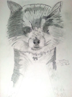 Bandit