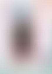 2月荔枝角桌遊活動|約腳試玩團第2週