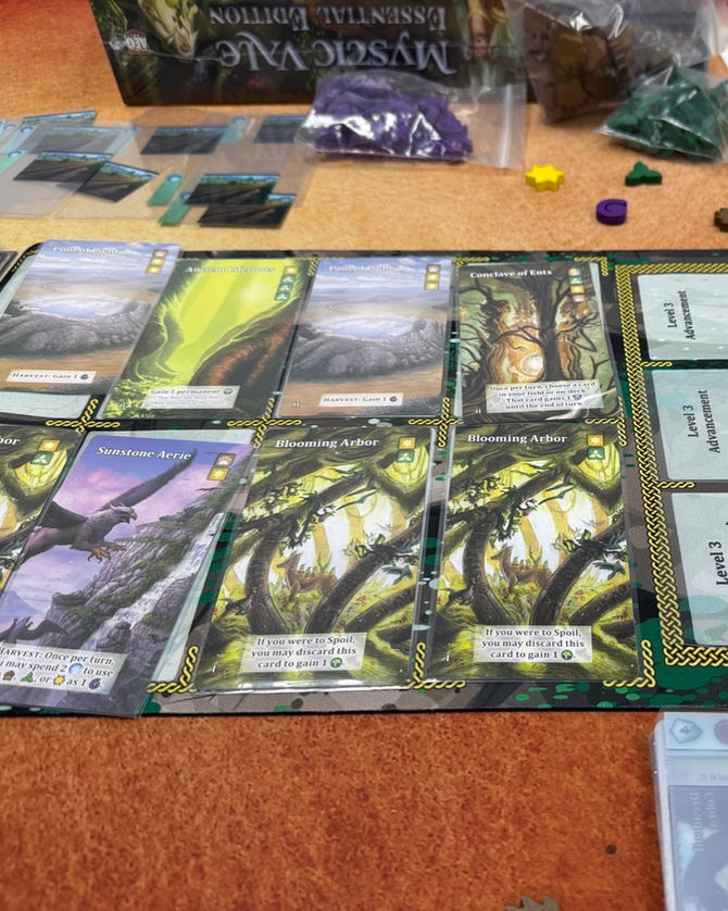 日本桌遊ポリぽん：原來自己才是底褲賊