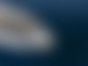 TEMPORADA BRASILEIRA DE CRUZEIROS 24/25 🛳️