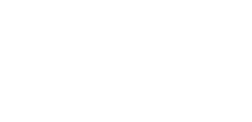 logo viso BLANCO.png