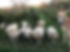 32087414_1516375821805900_2083093403809087488_n.jpg
