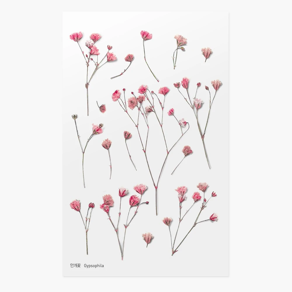 Pressed Flower Sticker Gypsophila