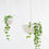 Thumbnail: Macrame Hanging Planter White Large