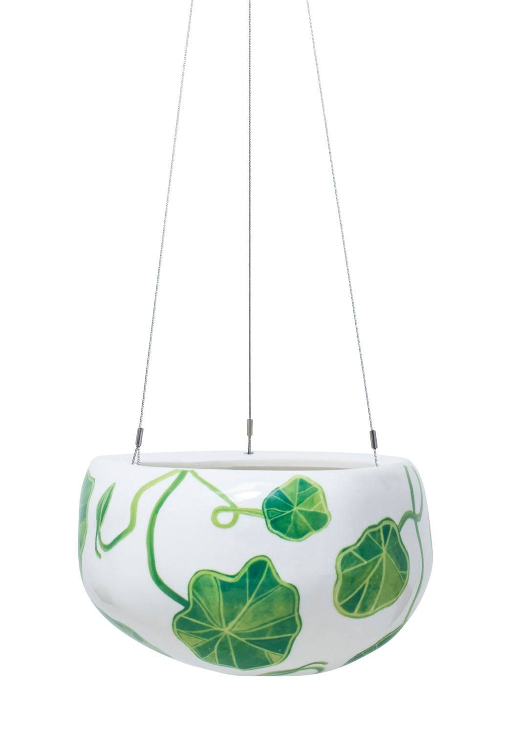Nasturtium