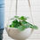 Thumbnail: Macrame Hanging Planter White Large