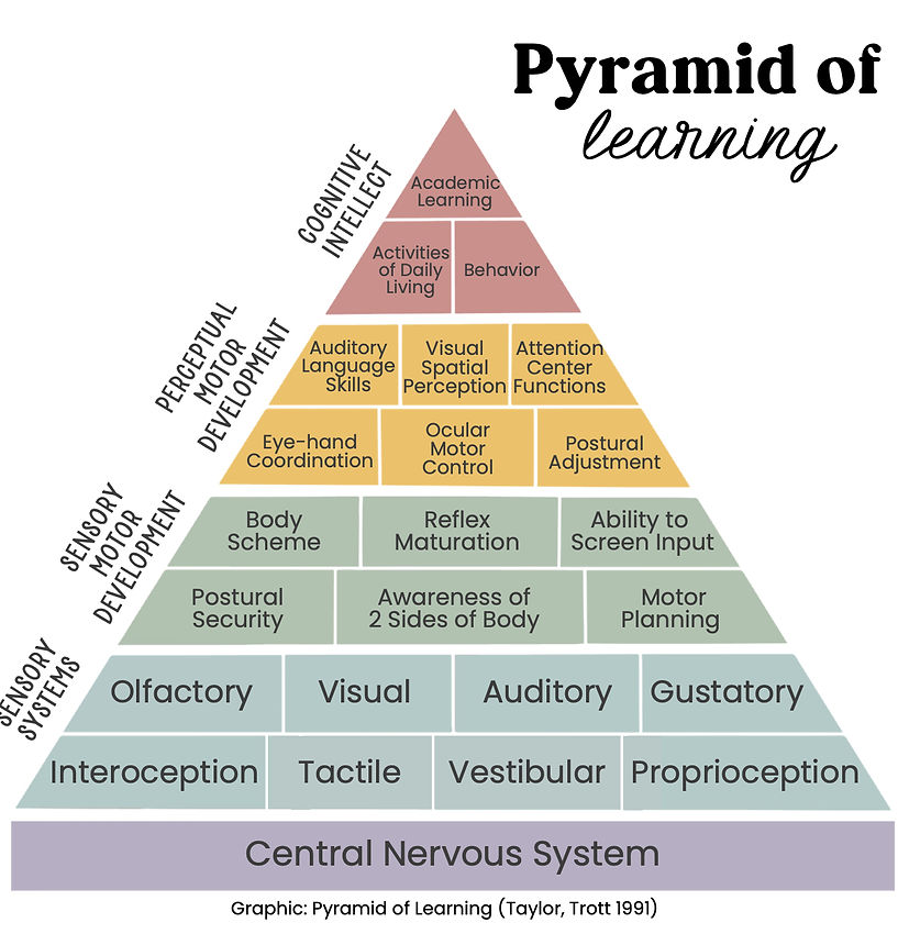 Screenshot 2025-06-13 at 9.08_edited.jpg