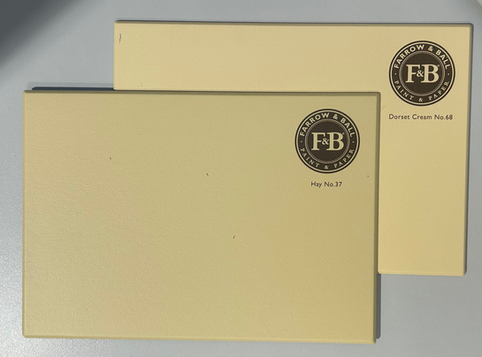 Yellow Farrow and Ball paint sample boards