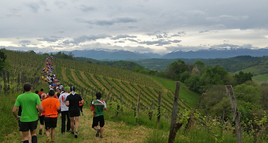 Photo TOP VITI TRAIL.png