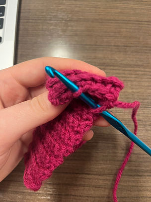 Procrastination Destination: Making Mittens For Your Secret Santa