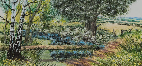Acrylic painting of bluebell woods in the UK countryside by sian Butler (my Mum)_edited.jp