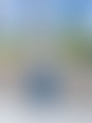 A person leans against a concrete wall, smiling. They're in a white jacket and jeans. Skyscrapers and green trees are in the background.