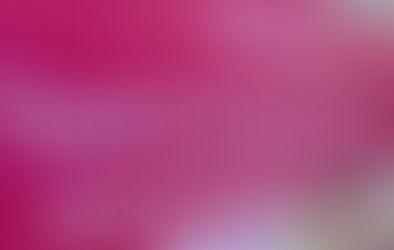 No Health Without Mental Health