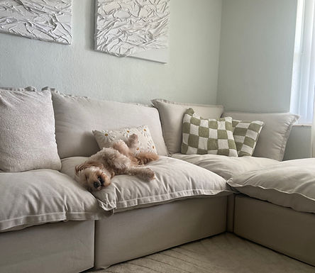 Petfriendly sofa