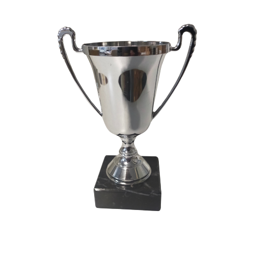 Thumbnail: Custom trophy award with engraved plate for school or sporting event