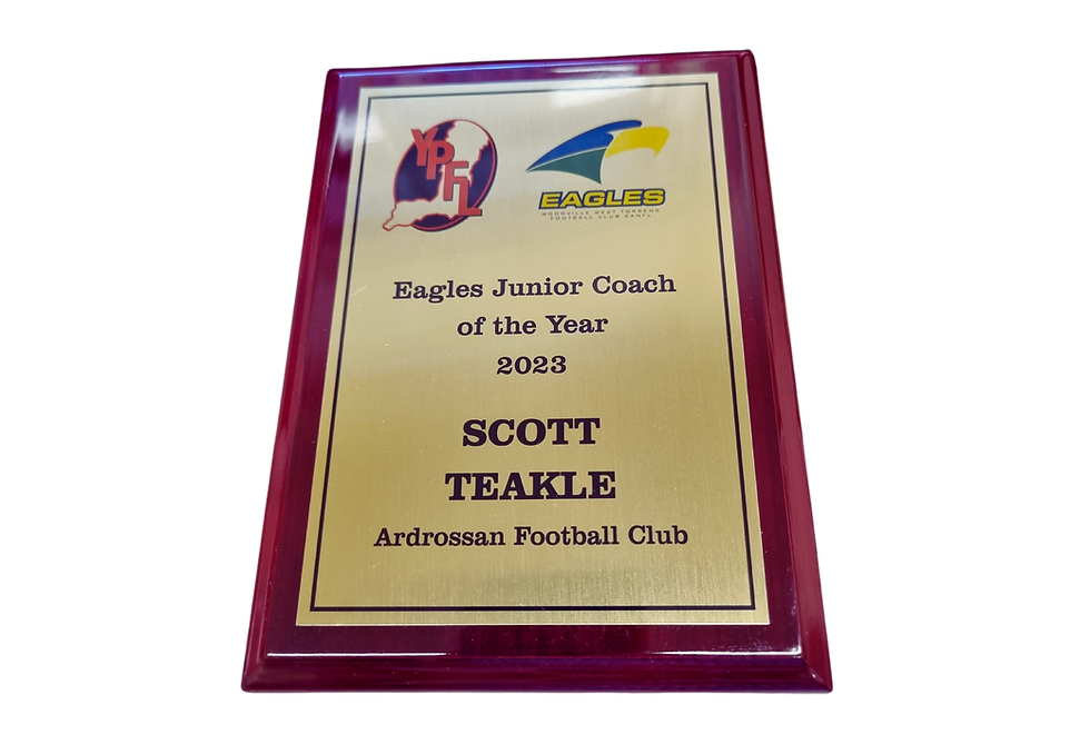 Thumbnail: Custom plaque for sporting team with engraved metal plate and logo