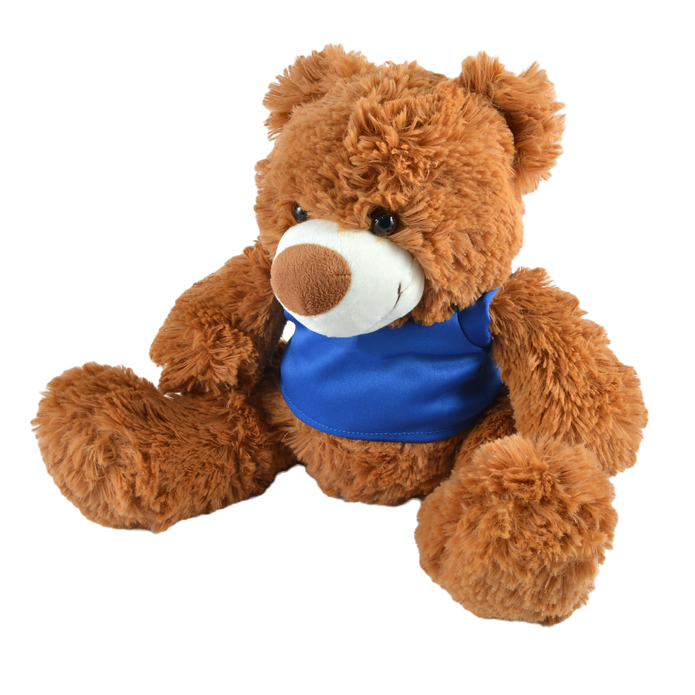 Coco Plush Teddy Bear with printed Velcro T-shirt