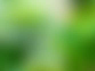 Identificación de género, especie y cepa en probióticos: garantía de calidad