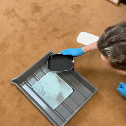 IMB_SEQCq4.GIF