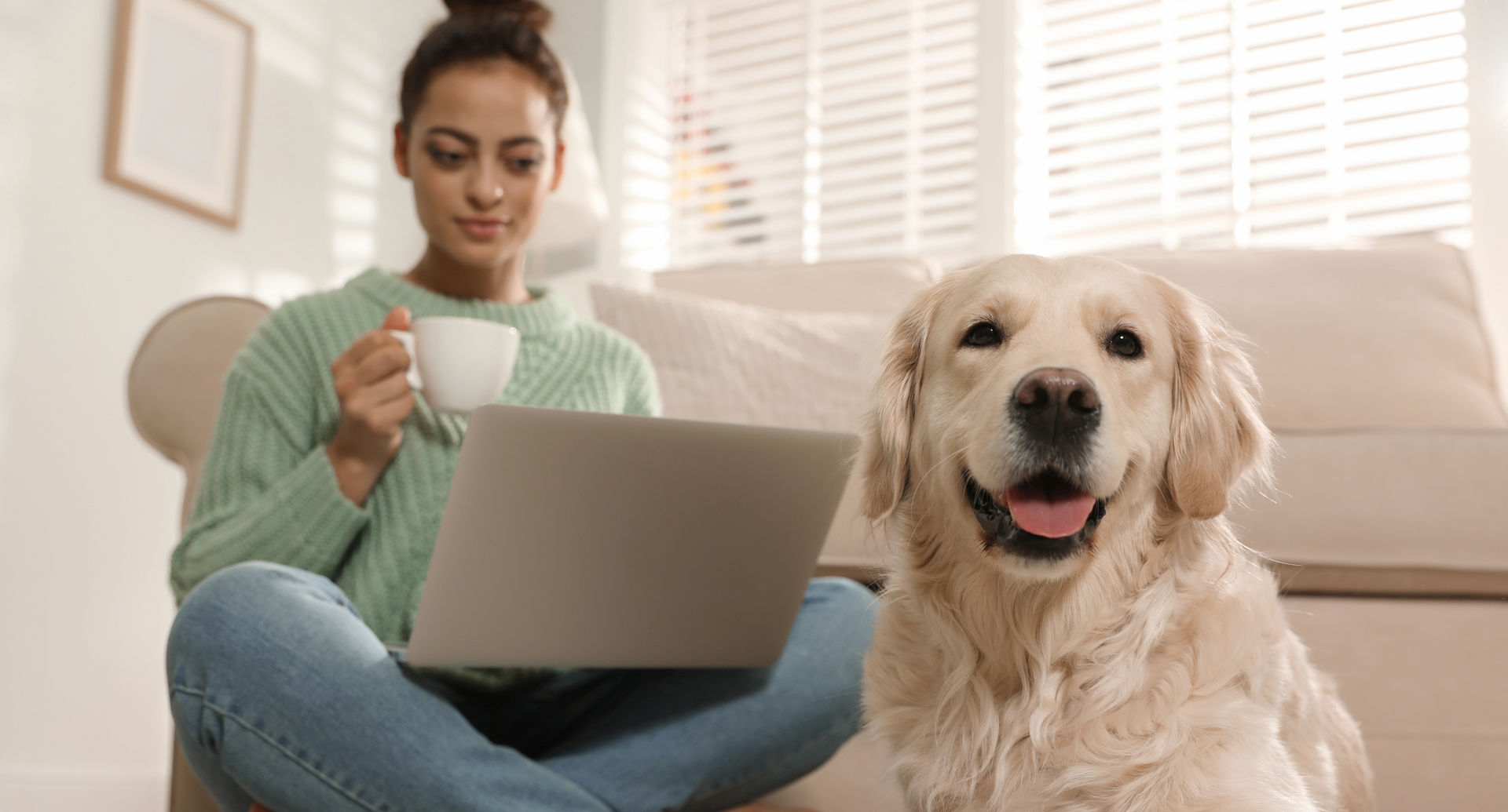 Wix girl laptop dog dreamstime.jpg