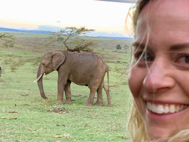 woman with elephant in the window.jpeg