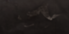 Body - take (3) _ 100x200 _ 2017 _web.pn