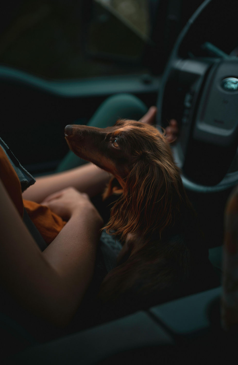 pexels-alfomedeiros-13293907