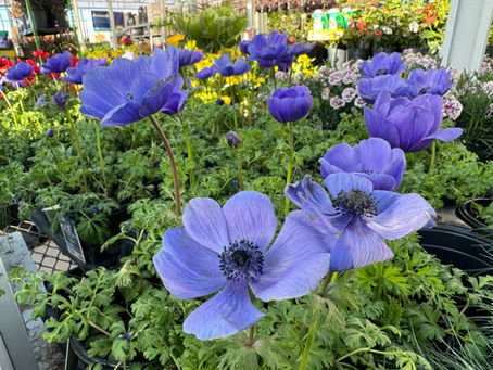 This Week's Top Events 03/24-03/31/26