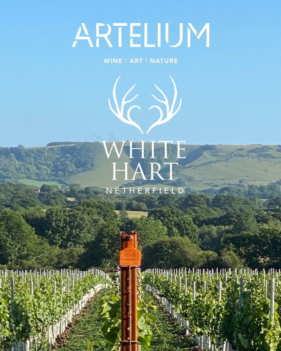 Artelium Wine Dinner - 25th September 2025 at 7pm