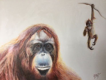 Orang Utan Mother and Baby.jpeg