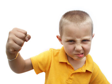 We have all met bullies in our life