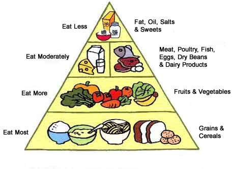 A Guide to the Food Pyramid