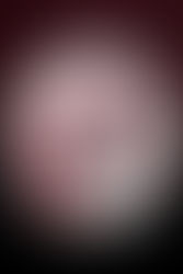 The 4 Best Superfoods to Keep Your Memory Sharp