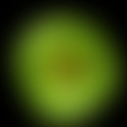 Top 5 Superfoods for Weight Loss